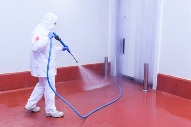 Post-Construction Pressure Washing in Windsor, VA